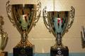 championship trophies.JPG